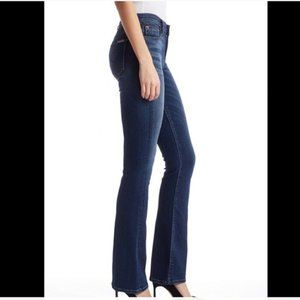 Hudson Elysian Denim Love Midrise Bootcut